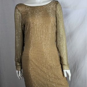Gorgeous Beaded Evening Dress /Nwot-never worn!